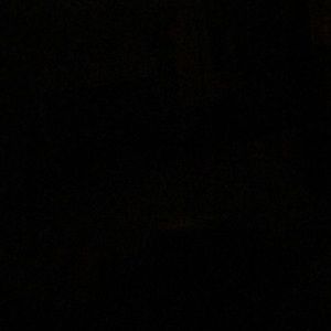 Meet your Posher, Blake